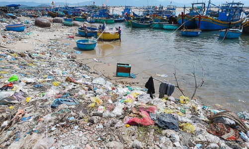 Các nguồn thải gia tăng, môi trường biển suy giảm chất lượng