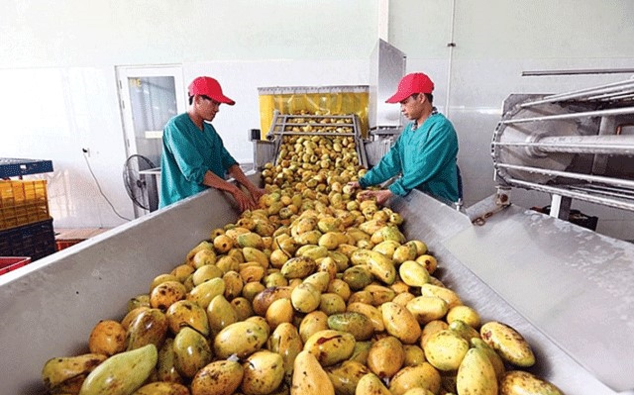 Doanh nghiệp nỗ lực duy trì sản xuất “ba tại chỗ” cũng gặp muôn vàn khó khăn.