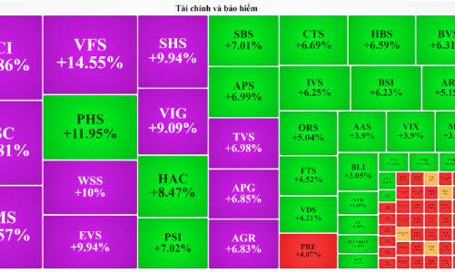 Cổ phiếu chứng khoán bất ngờ tím ngắt, thị trường vẫn rớt thảm