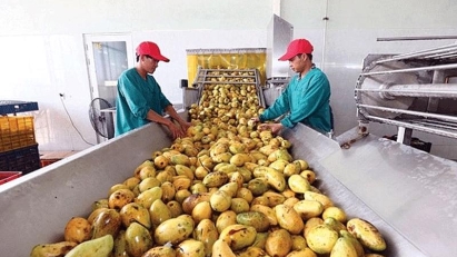 Export goals hit by pandemic