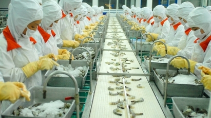 Room for improvement in seafood processing