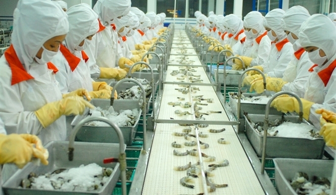 Room for improvement in seafood processing