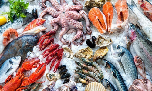 Cổ phiếu thủy sản: Xuất khẩu giảm kéo dài đến quý 4/2021?