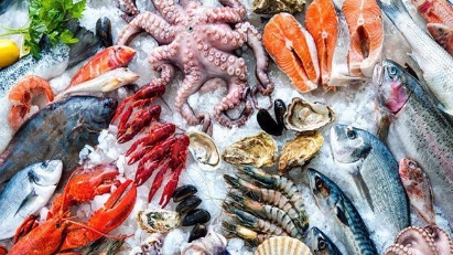 Rising seafood stocks may reverse in Q4