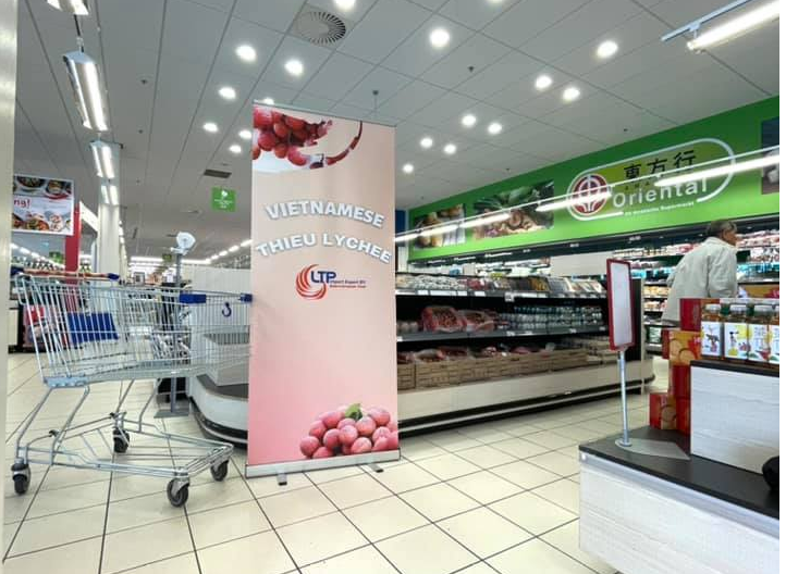 Import Export B.V.  là doanh nghiệp đã thành công đưa vải thiều tươi Lục Ngạn sang châu Âu.