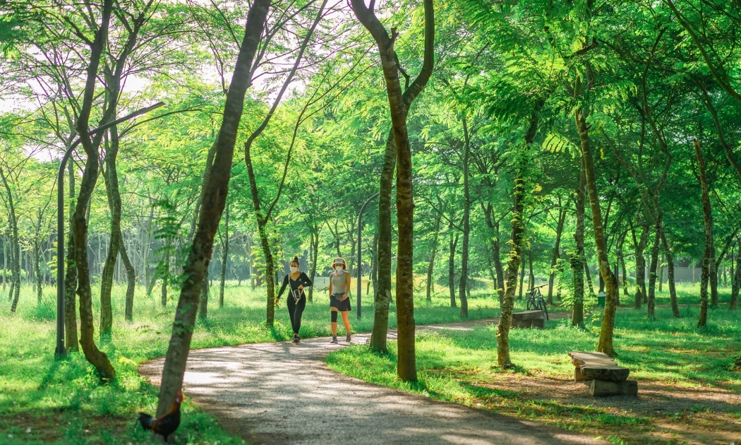 Một cung đường dạo bộ của khu đô thị Ecopark.