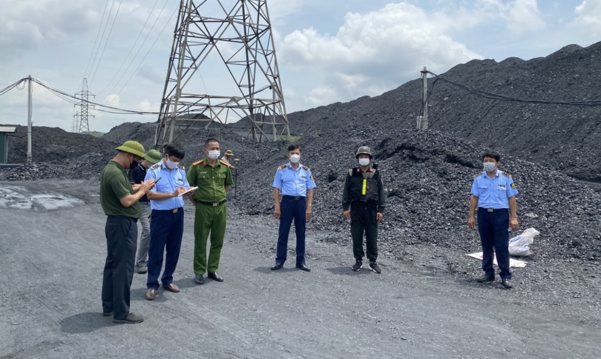 Trong số các bãi than bị lực lượng chức năng kiểm tra có những bãi rộng hàng chục ha