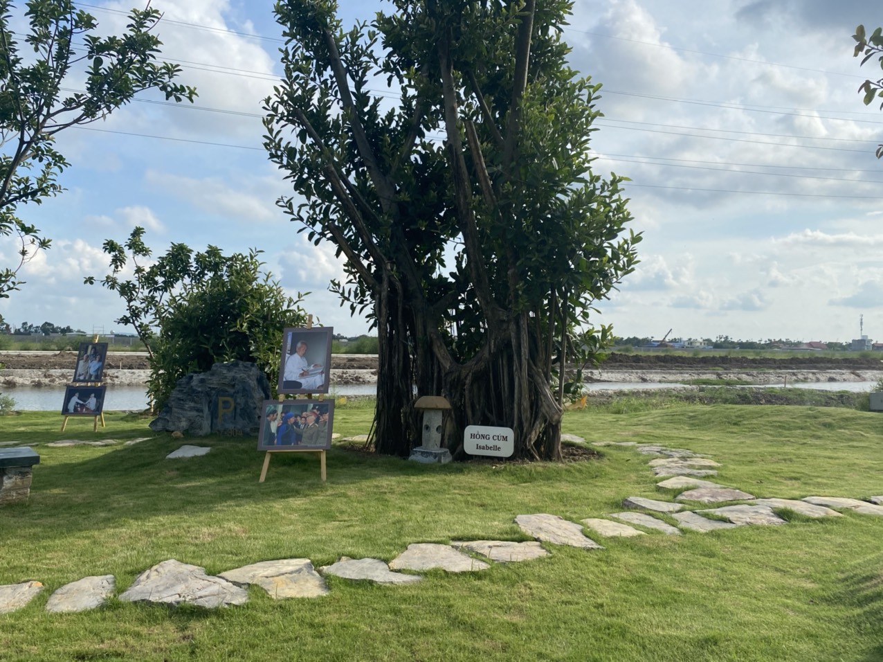 To&agrave;n bộ khu&ocirc;n vi&ecirc;n sa h&igrave;nh được phủ b&oacute;ng m&aacute;t bởi 37 c&acirc;y đa lớn.