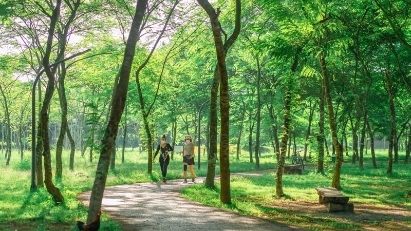 Hanoi to build international-class nature museum