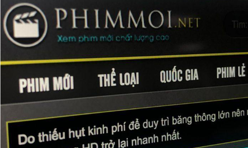 “Vi phạm của Phimmoi có thể gây thiệt hại hàng chục triệu USD”