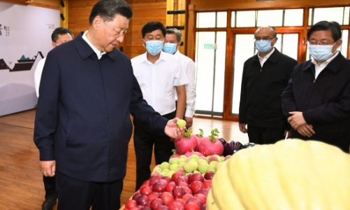 Một quan chức Trung Quốc: 