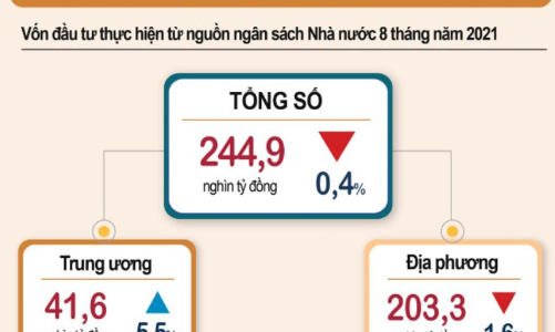 8 tháng, giải ngân vốn ngân sách vẫn ì ạch