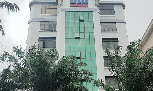 DIC Corp: 96% lượng cổ phiếu ESOP phát cho lãnh đạo và người nhà, giá bằng một nửa trên sàn