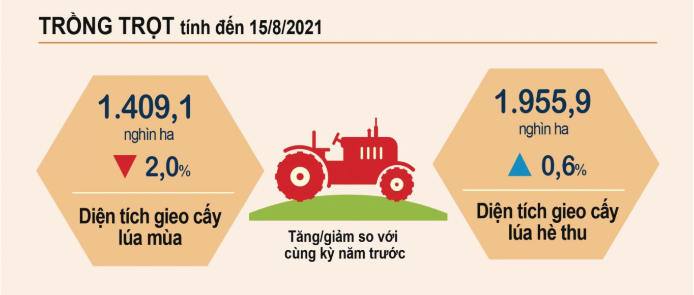 Nông nghiệp vượt khó để duy trì sản lượng - Ảnh 1