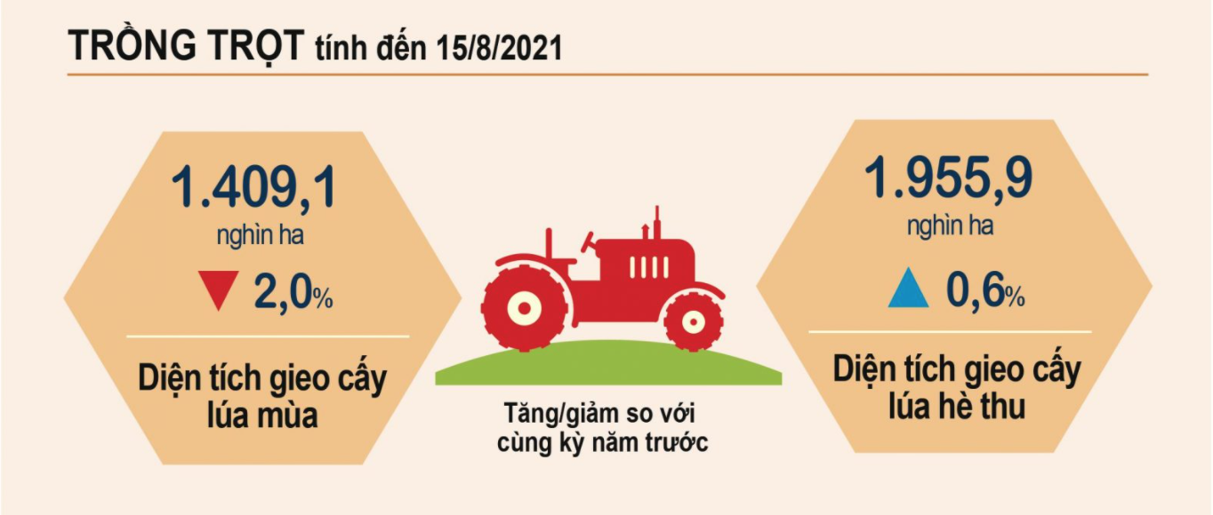 VnEconomy