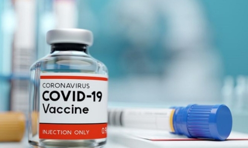 Cổ phiếu ngành dược 