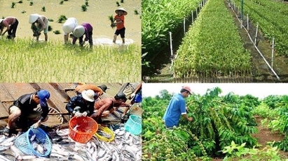 Production maintained in agriculture