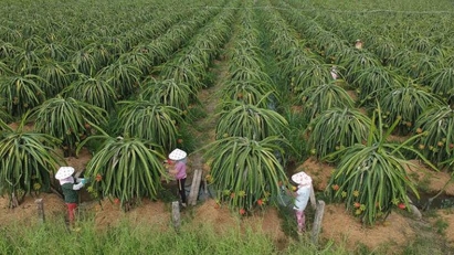 Agriculture area codes helping to expand exports