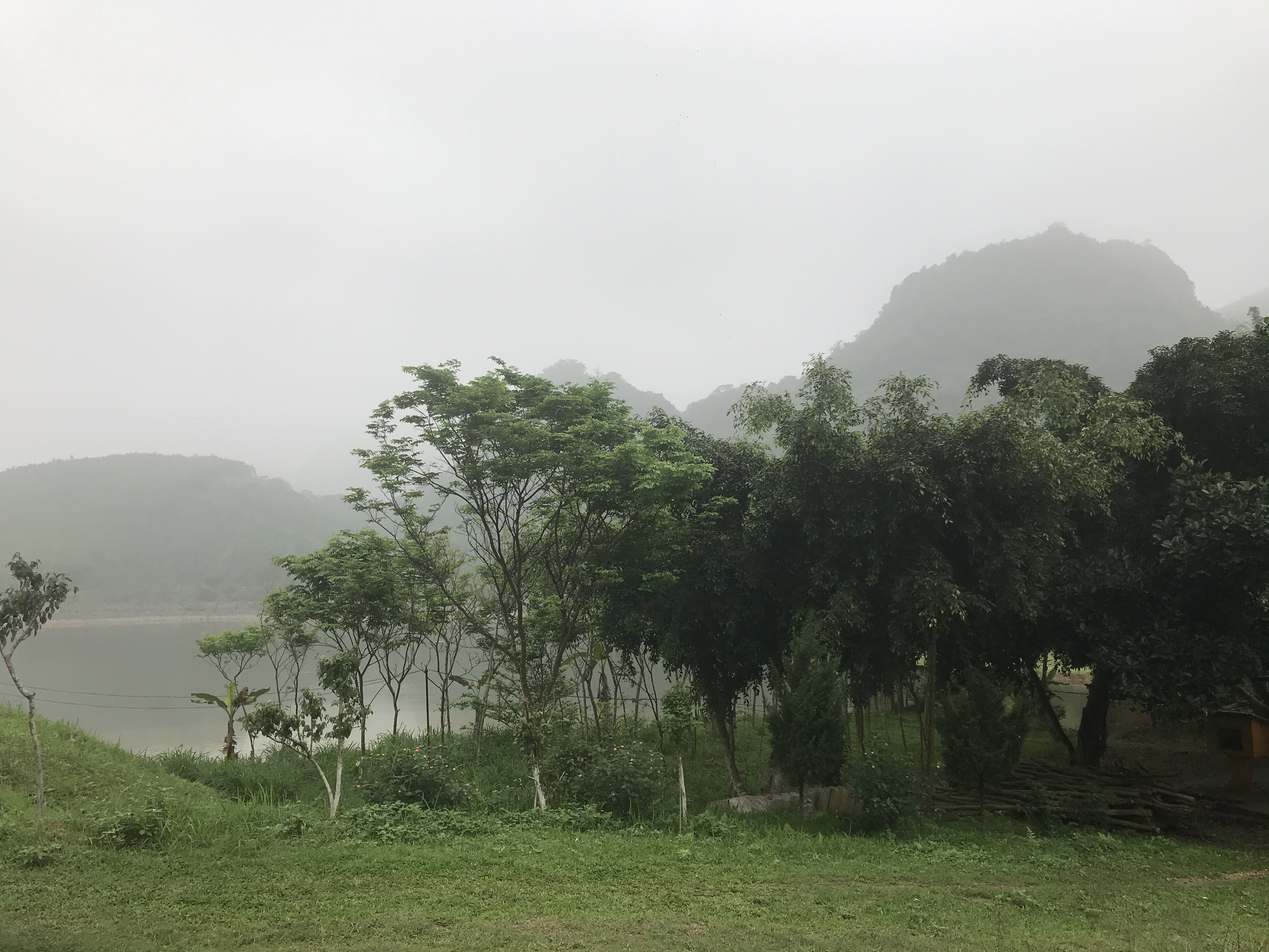 Mảnh đất 1.000m2 khi còn lối đi vòng.