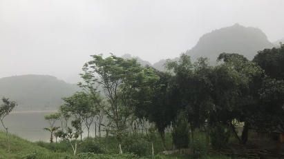 Care needed when buying houses online