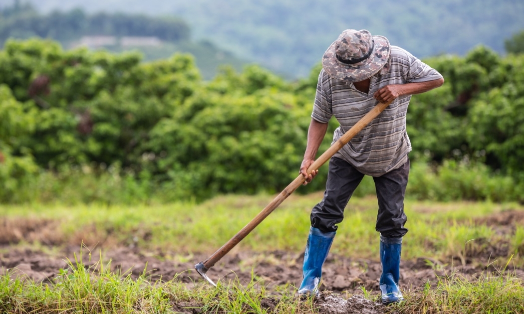 Nông dân Đông Nam Á đối mặt với ngày càng nhiều những thách thức