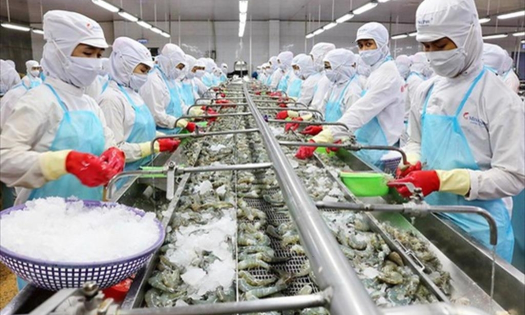 Chế biến thủy sản thu hẹp do thiếu lao động.