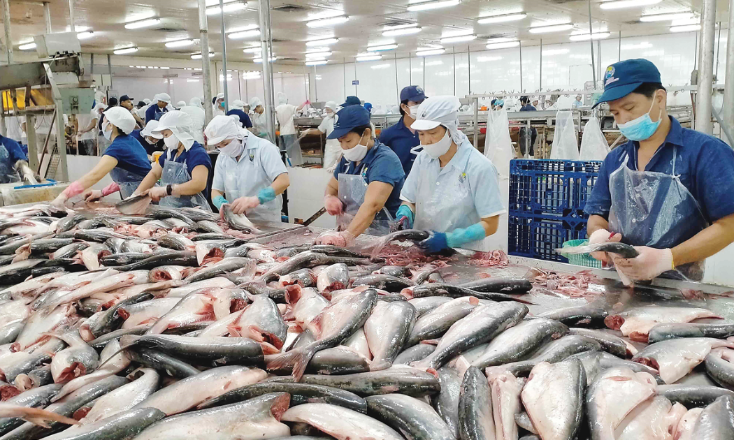 Chế biến thủy sản đứng trước nguy cơ đổ vỡ