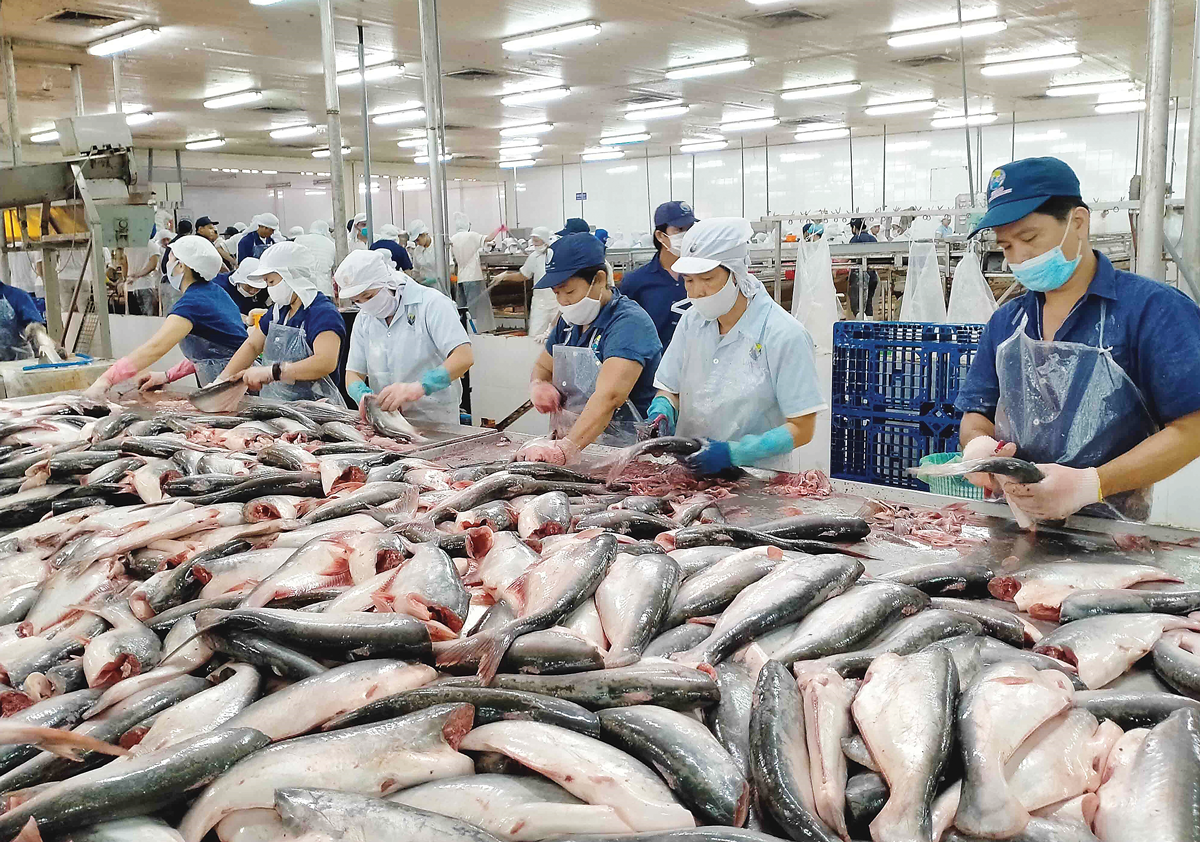 Chế biến thủy sản đứng trước nguy cơ đổ vỡ