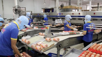 Problems mount for livestock enterprises