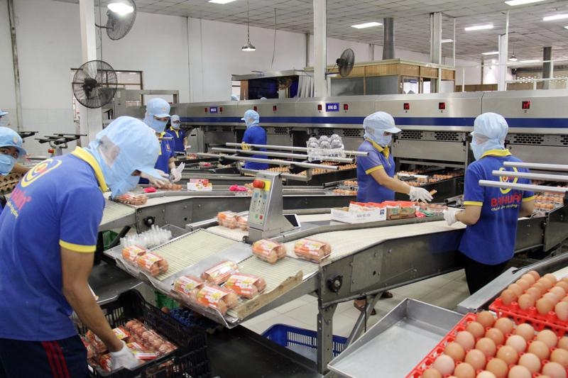 Problems mount for livestock enterprises