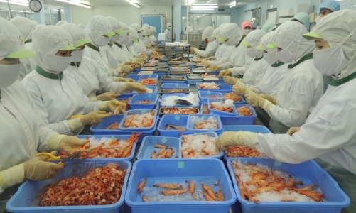 Gần 70% doanh nghiệp thuỷ sản không đủ năng lực phục hồi sản xuất sau giãn cách