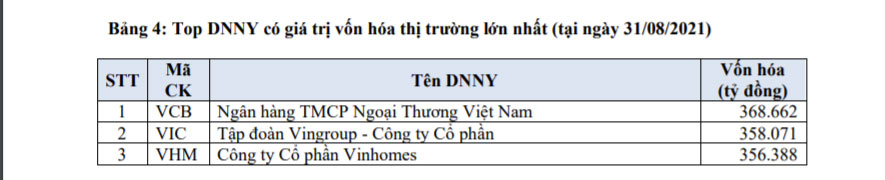 Top DNNY c&oacute; gi&aacute; trị vốn h&oacute;a thị trường lớn nhất (tại ng&agrave;y 31/08/2021).