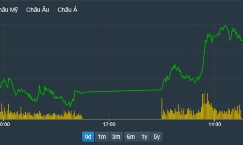 Trên trăm mã trần cứng, thị trường nóng bỏng tay