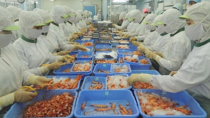 Seafood production in south tumbling