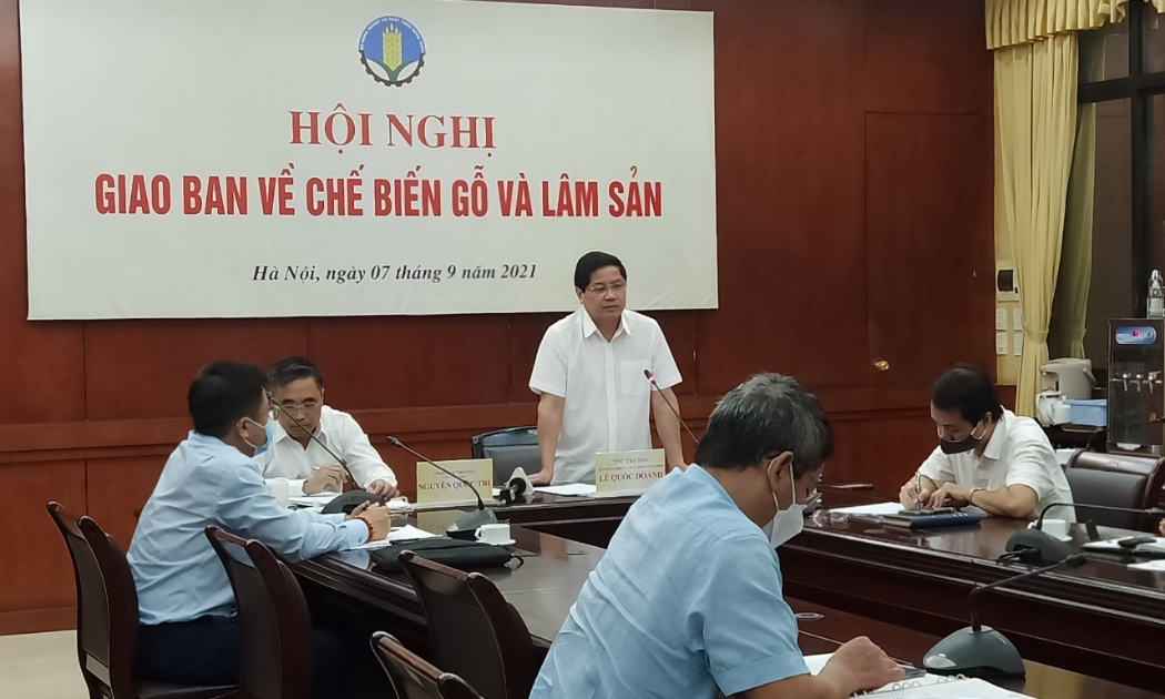 Cuộc họp về chế biến gỗ và lâm sản.