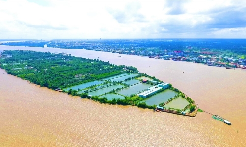 Thu hồi dự án Khu du lịch Cồn Sơn 75ha của TMS Group