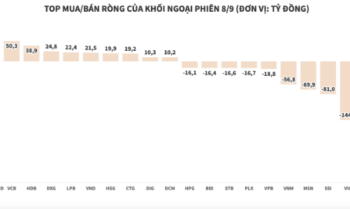 Khối ngoại đánh dấu phiên thứ 9 bán ròng liên tiếp với hơn 406 tỷ đồng
