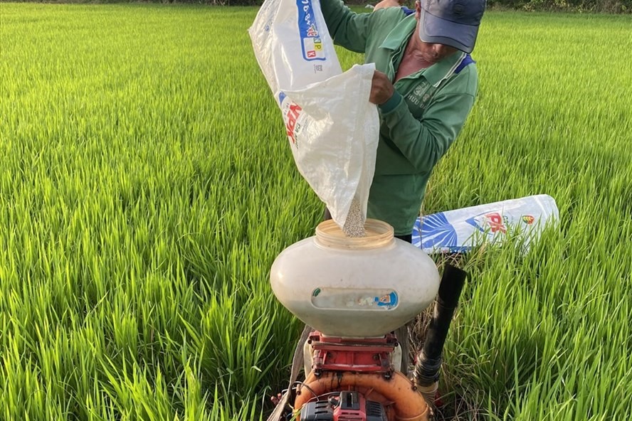 Dự báo giá phân bón vẫn sẽ neo cao thời gian tới. 