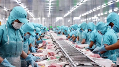 EVFTA boosts seafood exports to EU