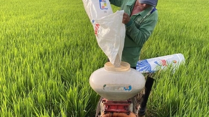 Import prices to rise