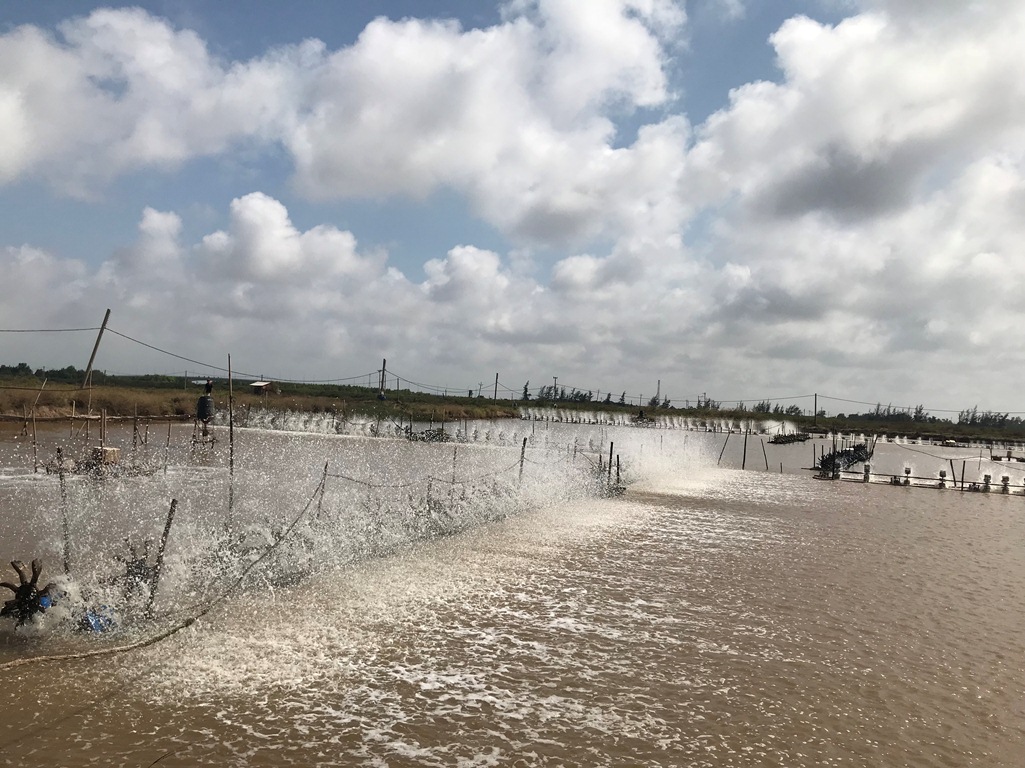 C&aacute;c doanh nghiệp tại S&oacute;c Trăng được xem l&agrave; &ldquo;trụ đỡ&rdquo; gi&uacute;p người nu&ocirc;i t&ocirc;m vượt qua kh&oacute; khăn do dịch Covid-19.