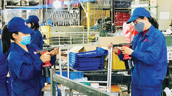 Chủ động thích ứng dịch, doanh nghiệp 