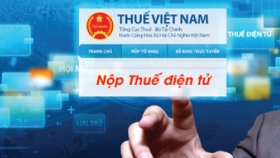 Electronic tax payment service proves effective