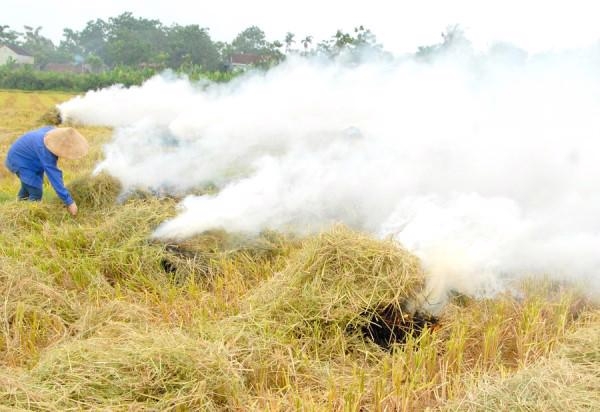 Agricultural by-products going to waste