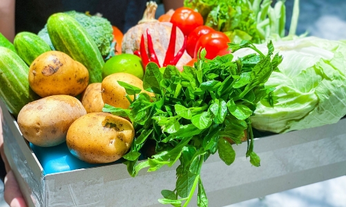 Doanh nghiệp “ngoại đạo” lấn sân cung cấp thực phẩm