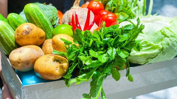 Doanh nghiệp “ngoại đạo” lấn sân cung cấp thực phẩm