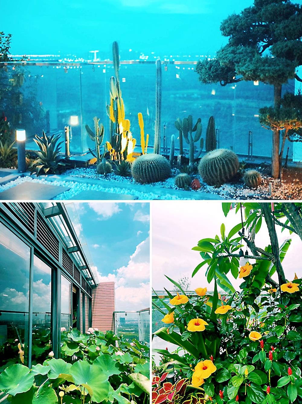 Kh&ocirc;ng gian xanh với đủ loại hoa nở rực rỡ.