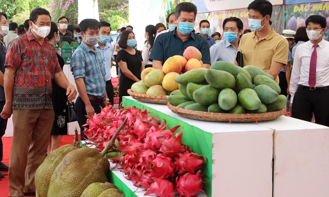 Kết nối tiêu thụ nông sản.