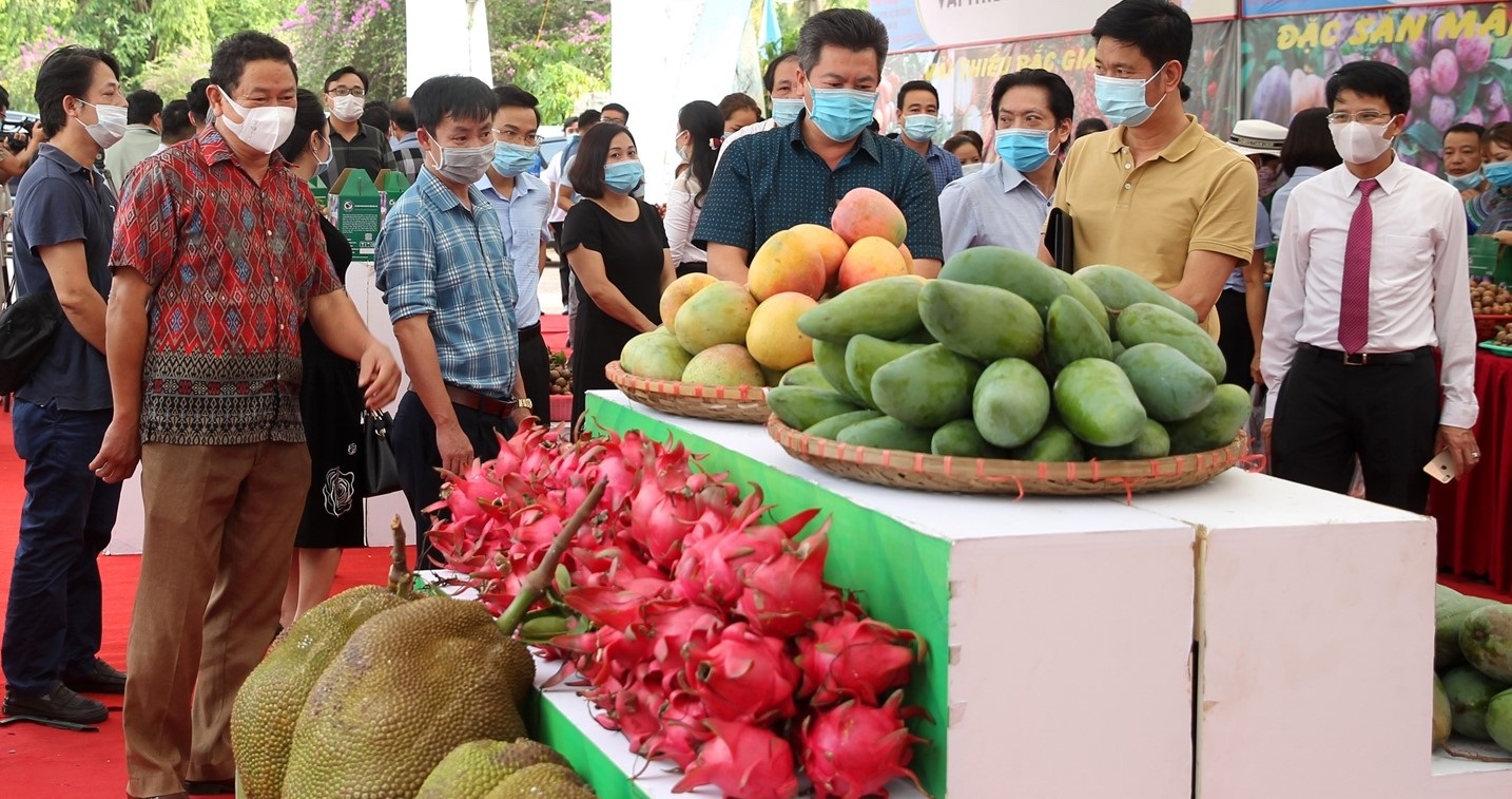 Kết nối tiêu thụ nông sản.