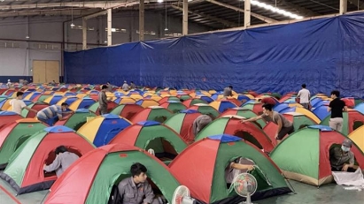 Businesses focusing on sustainable development dealing with pandemic